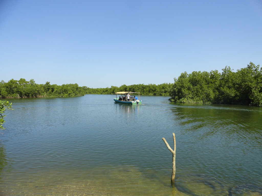 Boat on the river